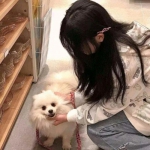 我的女神渠道手游下载